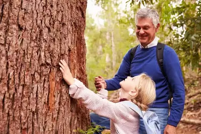 Grandfather and granddaughter in the forest.