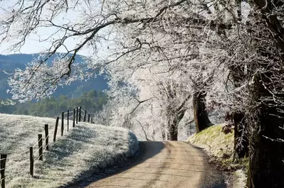 Incredible photo of Cades Cove covered in frost.