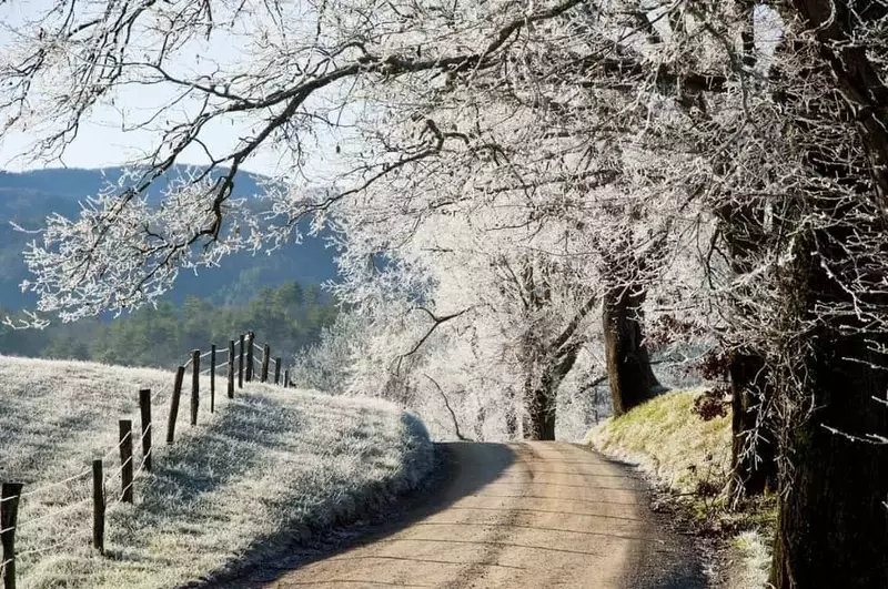 Beautiful photo of Cades Cove in winter covered in frost.
