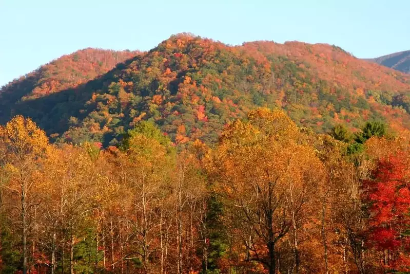 Beautiful photo of fall in the Smoky Mountains.
