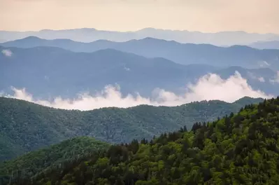 The majestic Great Smoky Mountains.