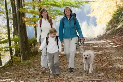 Family hiking with dog in the Great Smoky Mountains.