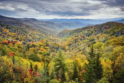 fall colors in the Smokies 