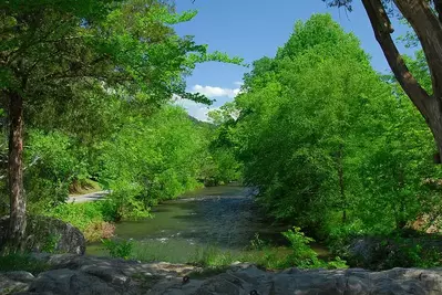 Great photo taken from one of our Gatlinburg cabins on the river.