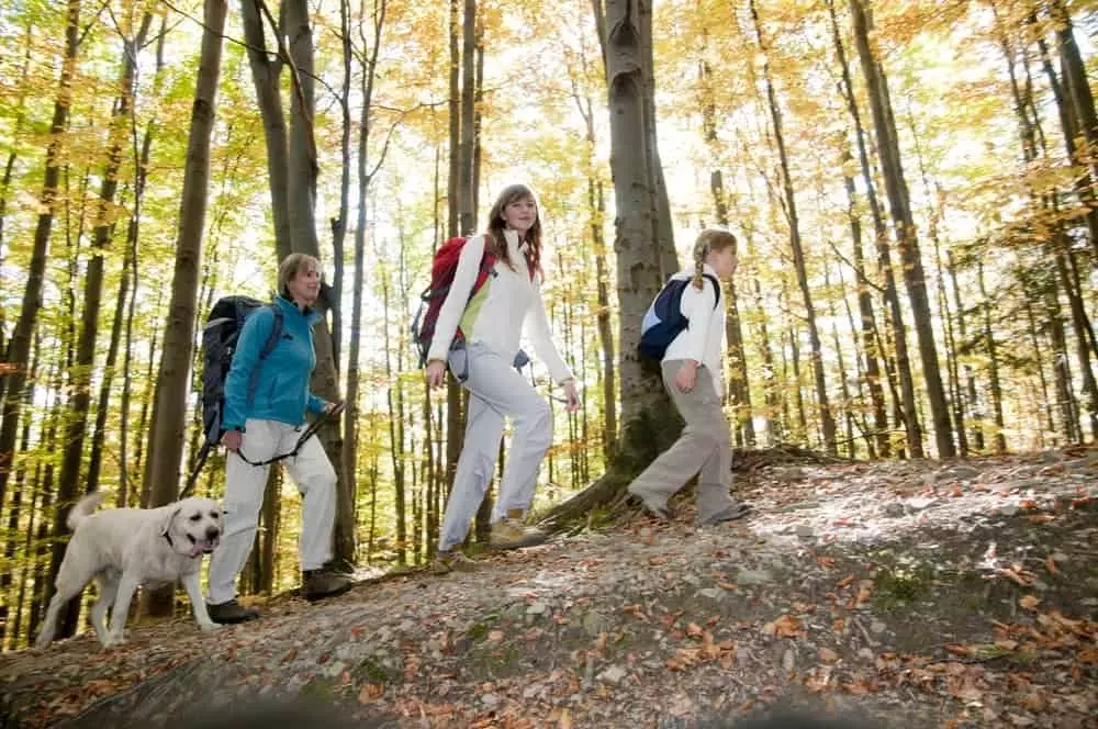 Dog and family hiking in Gatlinburg