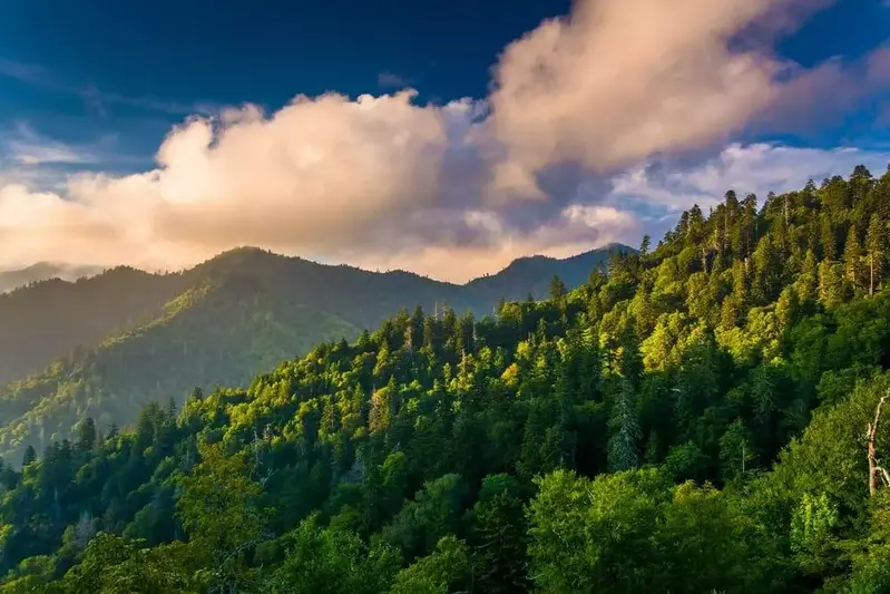 Scenic photo of the Great Smoky Mountains