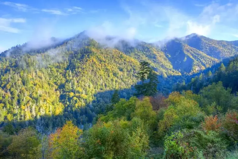 scenic view of spring in the Smoky Mountains