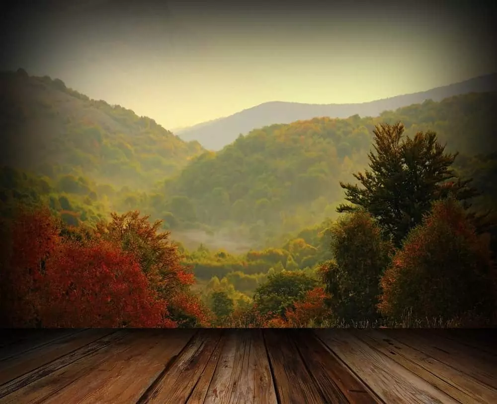 Deck overlooking the autumn color of the Smoky Mountains