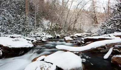 Snowy stream in the Smoky Mountains