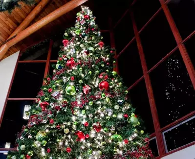 Tall Christmas tree