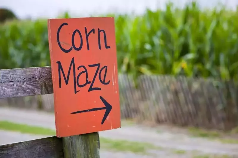 Corn maze entrance sign