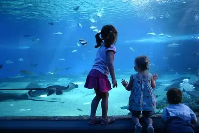 little girls at the aquarium
