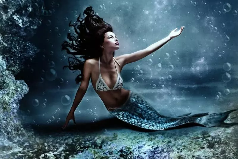 Mermaid under the sea