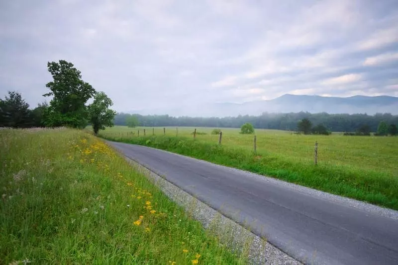 road running through cades cove