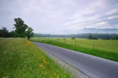 Road running through Cades Cove in the Spring
