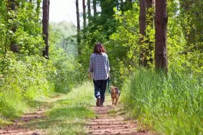Woman walking her dog through the woods