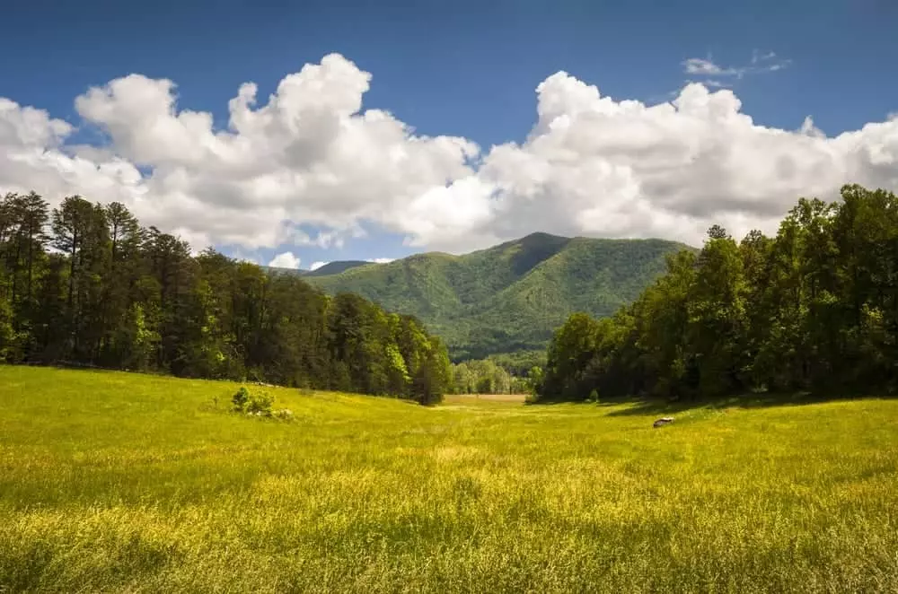 Grassy view of Cades Cove in the Great Smoky Mountains National Park