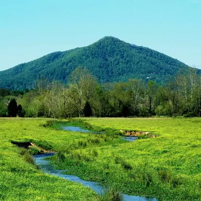 Stream running through Wears Valley