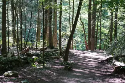 gatlinburg trail