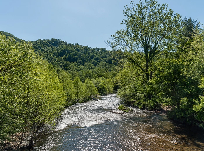 Pigeon River