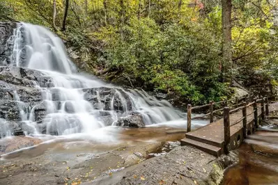 laurel falls and walkway