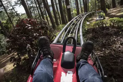 Mountain-Coaster-[1]