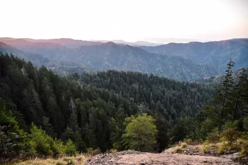 Mount LeConte