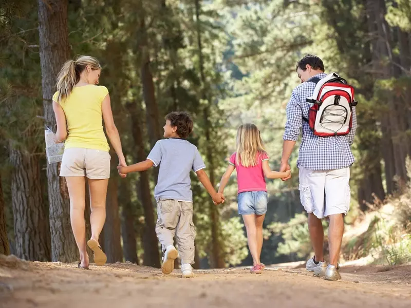 Family taking a walk in the woods
