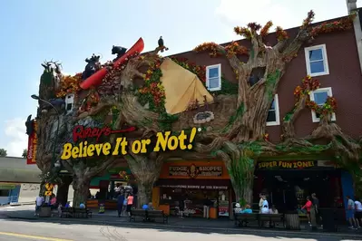 Ripley's Believe It or Not in Gatlinburg