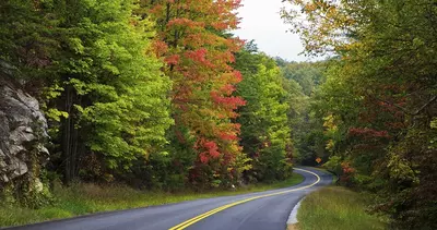 Drive through the Great Smoky Mountains