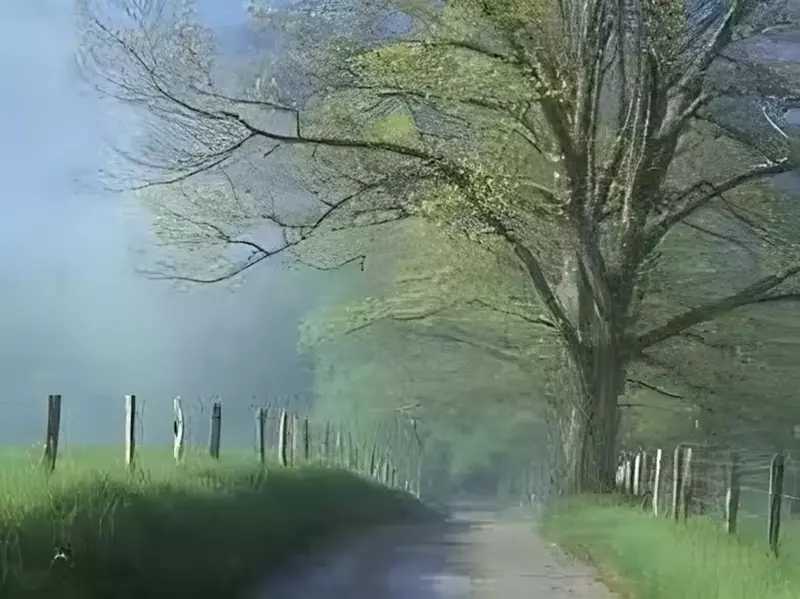 Cades Cove