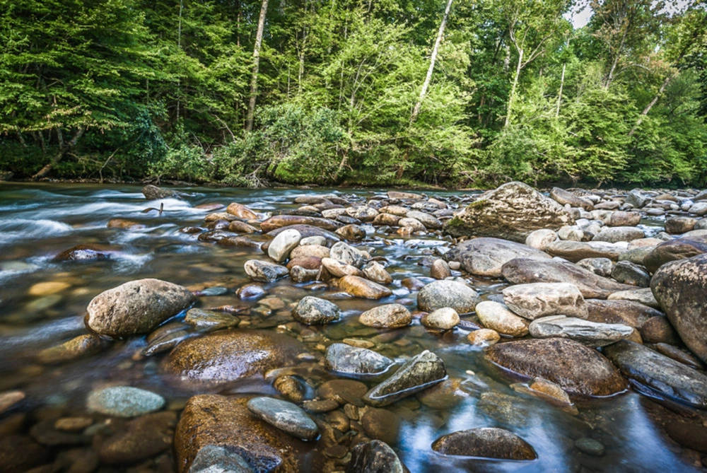 river next to Metcalf Bottoms Picnic Area