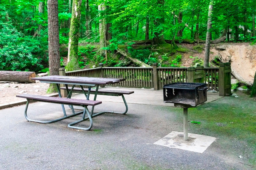 table and grill in Cades Cove Picnic Area
