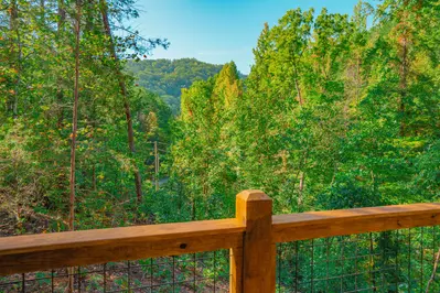 Sugar Mountain Retreat 35