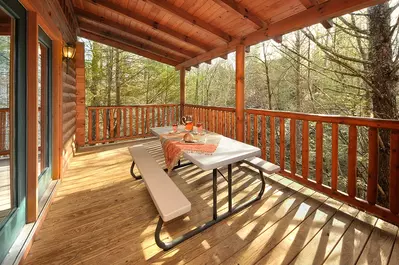 Mountain Lodge 8