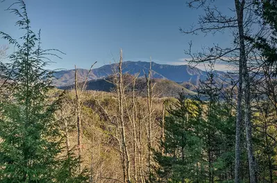 A View to Remember 31