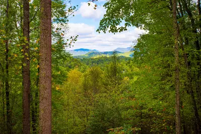Mountain Top Dream 21