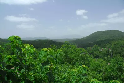 Eagles Perch 14