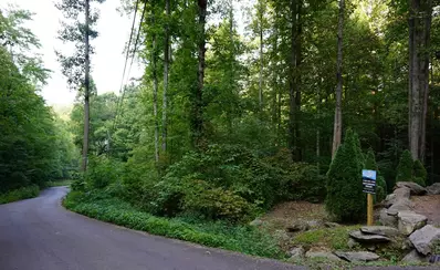 Gatlinburg Dream 35