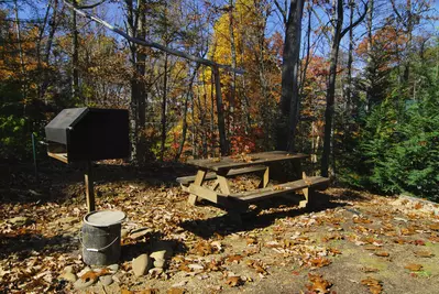 The Swimming Hole 14