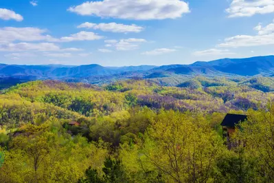 Majestic Mountain Lodge 61