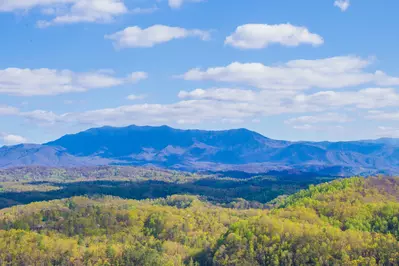 Majestic Mountain Lodge 62