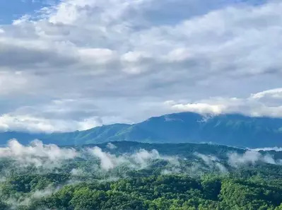 Majestic Mountain Lodge 63