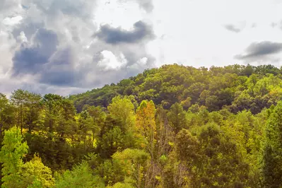 Splendor In The Smokies 12