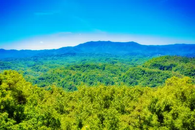 Majestic Mountain Lodge 66