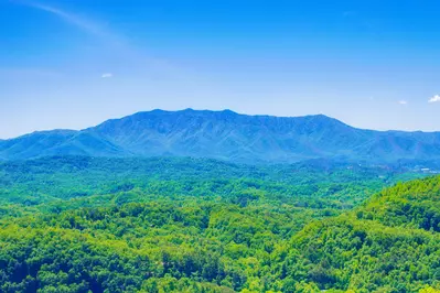 Majestic Mountain Lodge 67