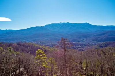 Amazing View Lodge 73