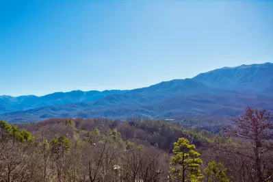 Amazing View Lodge 81