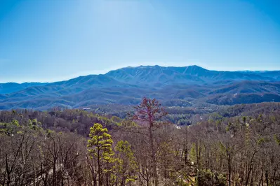 Amazing View Lodge 82