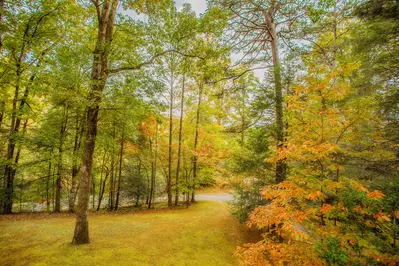Black Bearry Hill 26